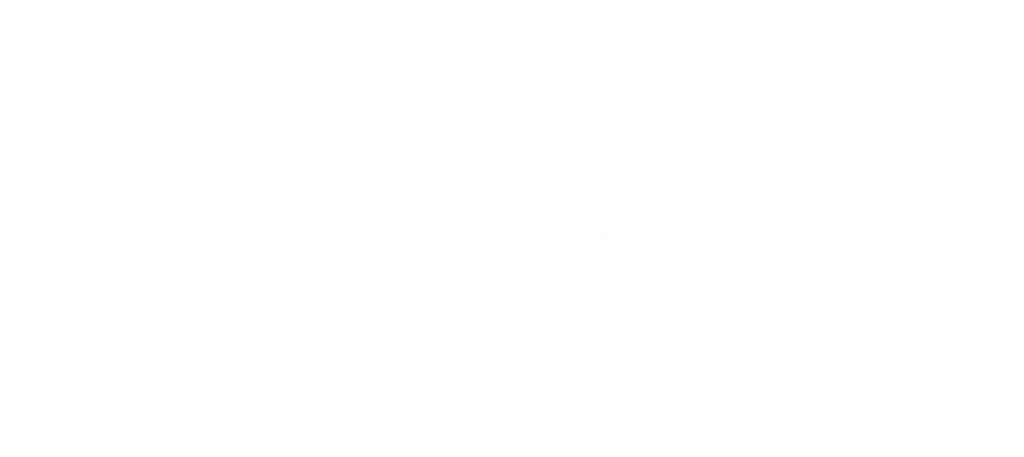 Deutsche Flugsicherung Logo Weiss