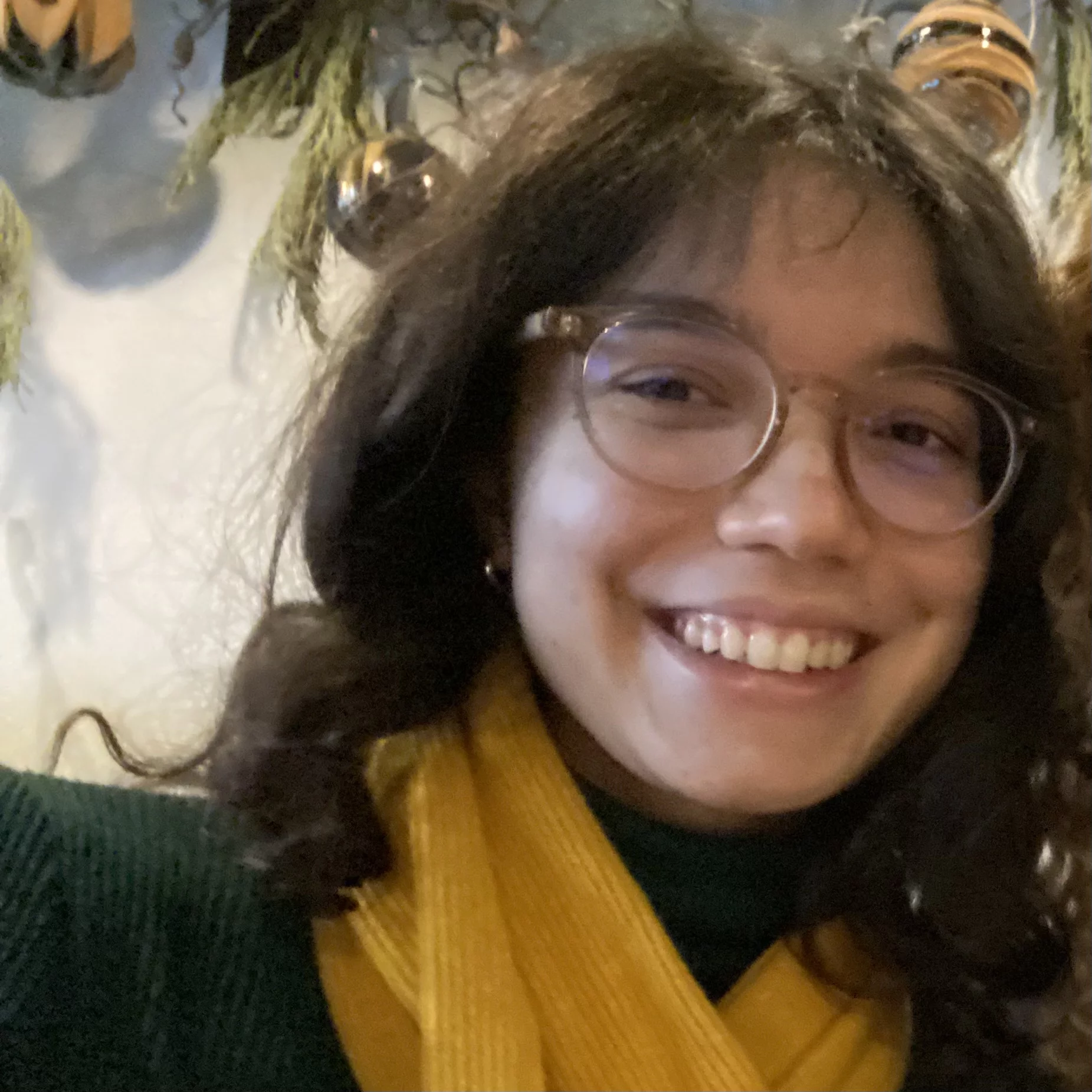 Sofia Saraiva de Figueiredo
