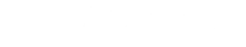 IMMAC Group Logo weiß